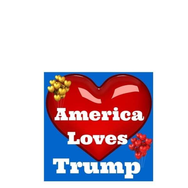 Cover art for America Loves Trump